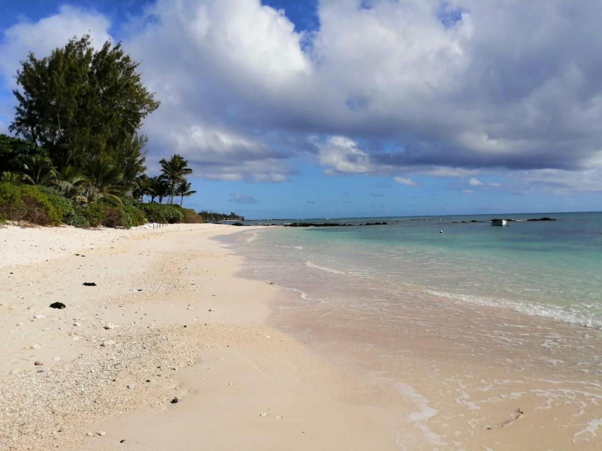 Tropical Palms Apartment Mauritius ポワント・オー・カノニエ エクステリア 写真