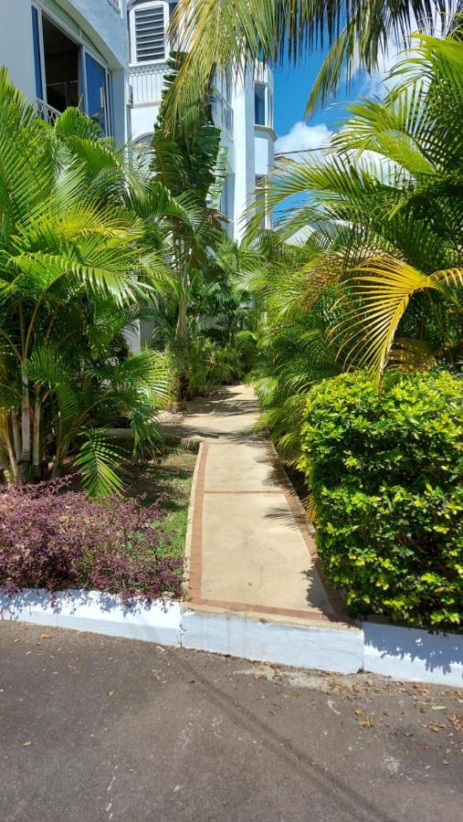 Tropical Palms Apartment Mauritius ポワント・オー・カノニエ エクステリア 写真